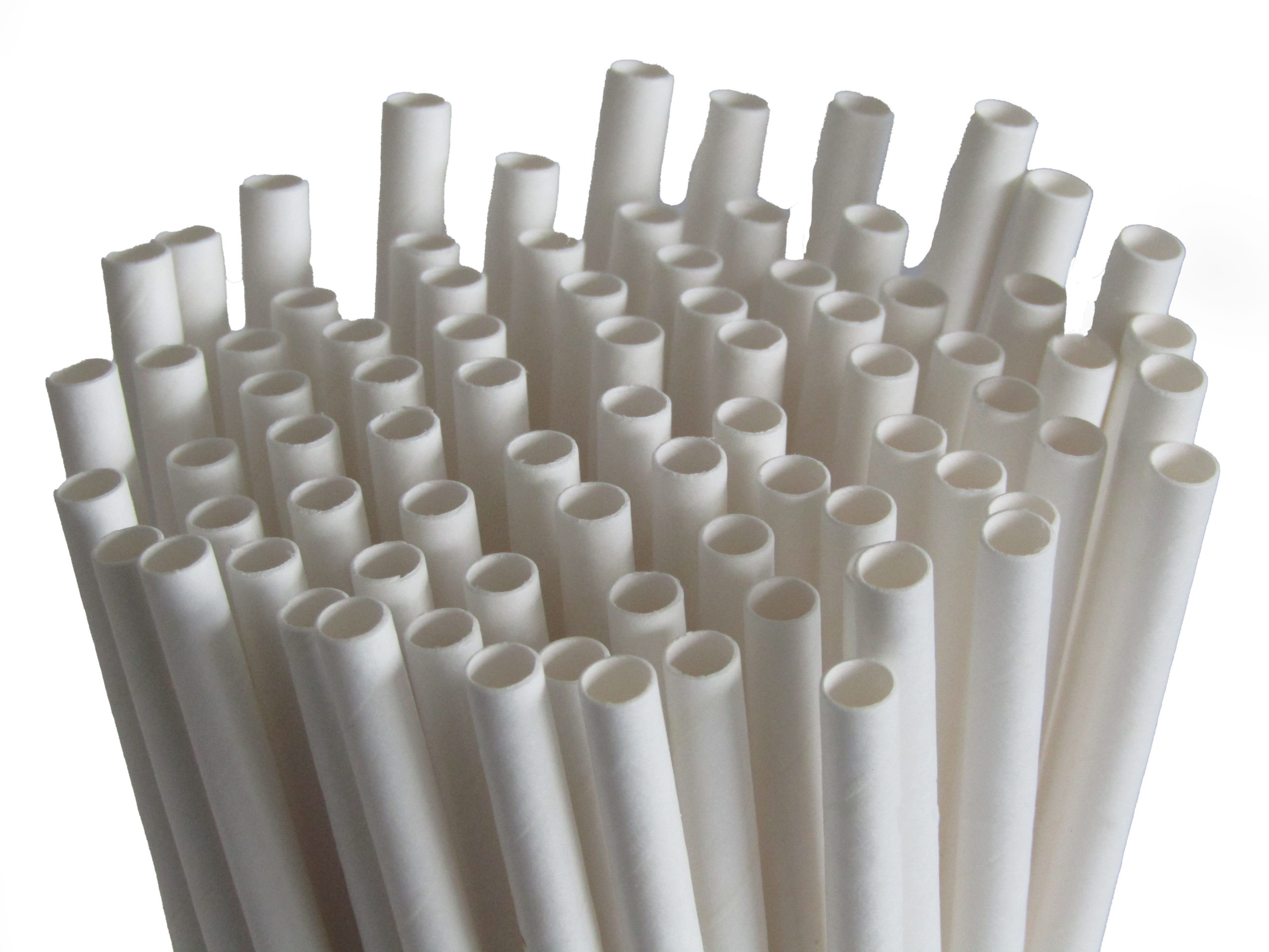 White 5.5" Paper Straws 250 Biodegradable & Recyclable Drinking Straws 
