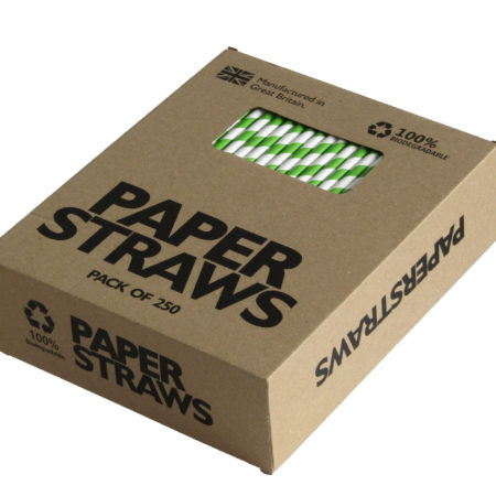 grüner Papiertrinkhalm Vorderansicht Verpackung aus weitem Winkel