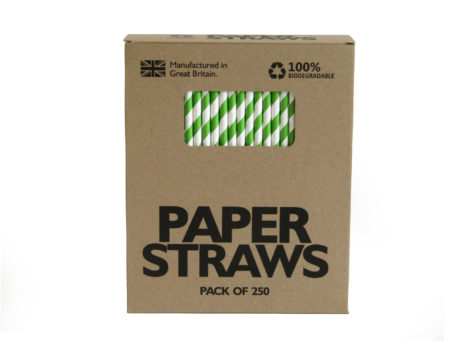 grüner Papiertrinkhalm Vorderansicht Verpackung
